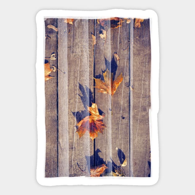 Autumn Leaves Sticker by cinema4design